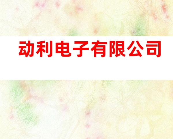 动利电子有限公司