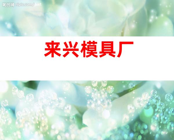来兴模具厂