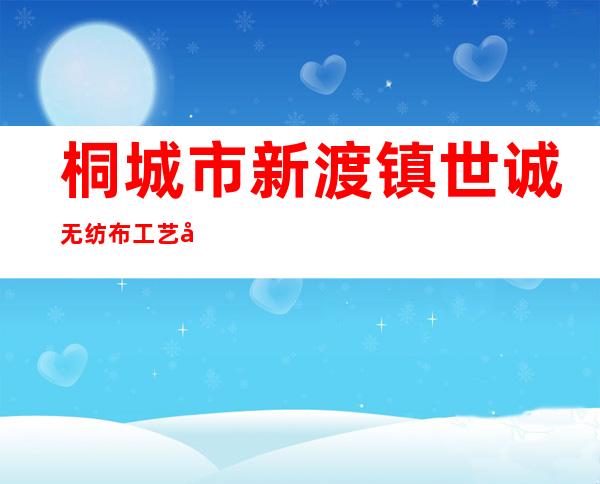 桐城市新渡镇世诚无纺布工艺包装厂