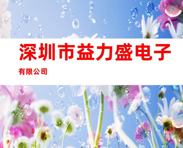 深圳市益力盛电子有限公司